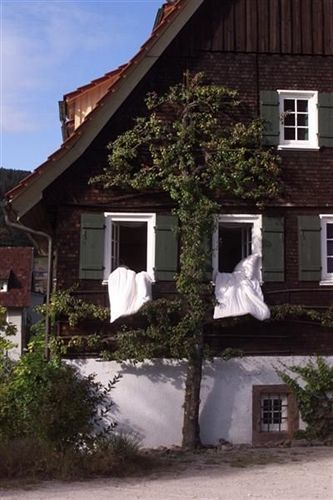 Gutshof-Hotel Waldknechtshof Baiersbronn Exterior foto